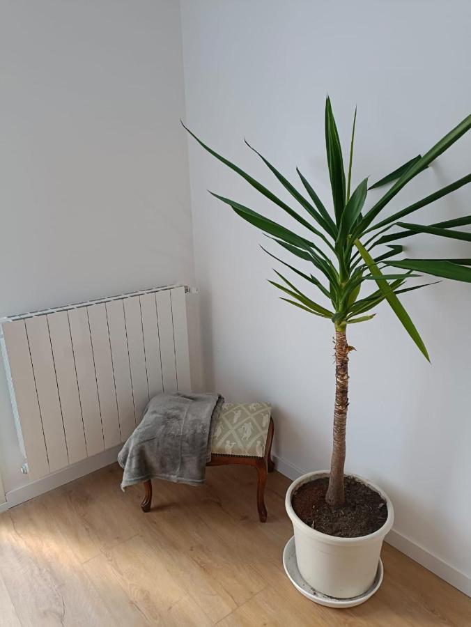 Ocean Appartement Orio Buitenkant foto